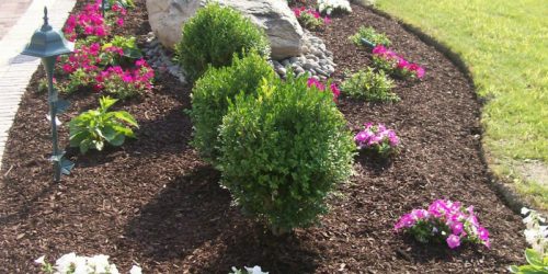 Landscaping, Landscaping Company, Landscaping Contractor, Landscaping Company