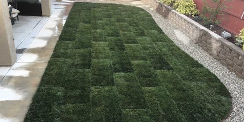 Sod Installation, Sod Installer, New Sod, Sod Company, Sod Contractor