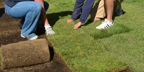 Sod Installation, Sod Installer, New Sod, Sod Company, Sod Contractor