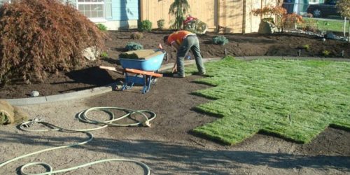 Sod Installation, Sod Installer, New Sod, Sod Company, Sod Contractor